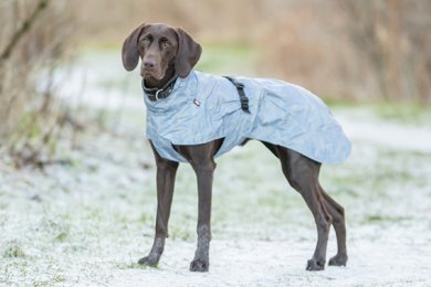 Reflex & ljus i mörkret