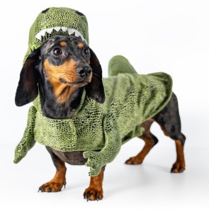 Dogman Maskeradkostym Dino dinosaurie trex grön hunddräkt halloween utklädnad