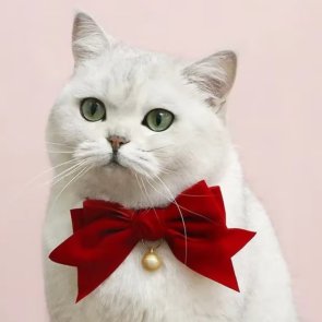 julrosett julfluga kattrosett jul guld bling kattaccessoar hundaccessoar hundrosett bjällra rosetthalsband