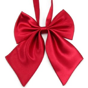 julrosett julröd julig julfoto hund katt dekoration julpynt jul advent gullig satin röd